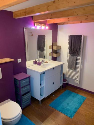 a bathroom with a sink and a toilet and a mirror at loft sur les montagnes in Saint-Michel-de-Chaillol