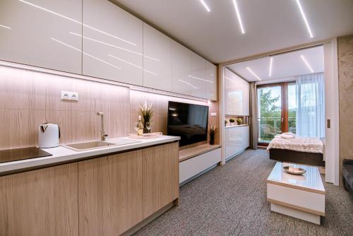 a kitchen with a sink and a tv in a room at Studio Hrebienok 212 in Smokovce