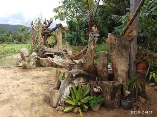 Baan Suan Jantra Home Stayにある庭