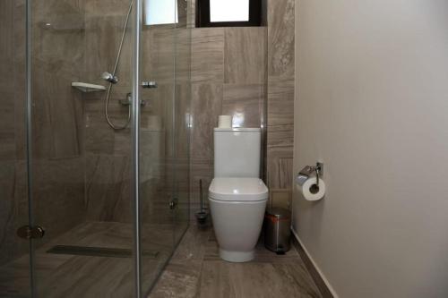 a bathroom with a toilet and a glass shower at CASA BUDISTEANU 2 in Focşani