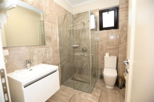 a bathroom with a shower and a sink and a toilet at CASA BUDISTEANU 2 in Focşani