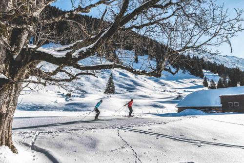 Hotel Alpenland en invierno