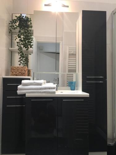 une salle de bain avec un lavabo et un miroir dans l'établissement Logement climatisé à côté de Negresco et bord de mer, à Nice