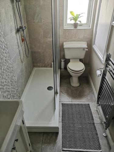a bathroom with a toilet and a shower at CF10 House - Cardiff City Centre in Cardiff