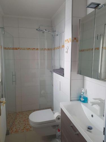 a bathroom with a toilet and a shower and a sink at Ferienhaus Noor und Meer in Maasholm