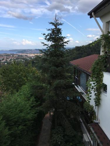 a tree that is leaning against a building at Sapanca Dilek Konagi Hotel in Sapanca