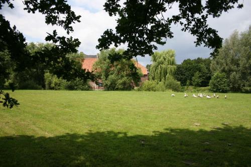 a group of animals in a field of grass at Hotel Schinvelder Hoeve in Schinveld