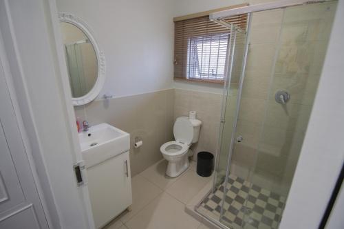 a bathroom with a shower and a toilet and a sink at The Afropolitan in Johannesburg