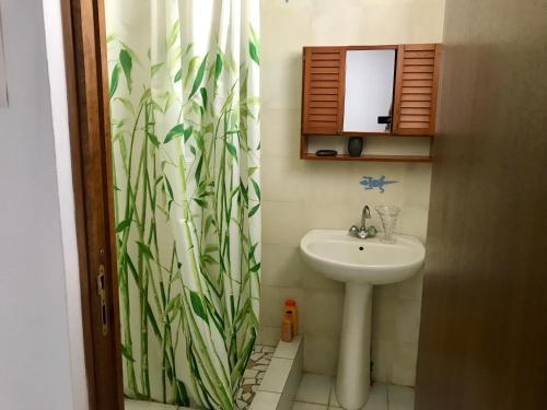 Un baño con lavabo y cortina de ducha. en Villa Figues et Mangos, en Terre-de-Haut