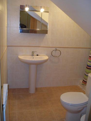 a bathroom with a sink and a toilet at Apartamento Millas in San Juan de Plan