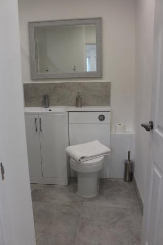 a bathroom with a sink and a toilet with a mirror at The Annexe in Ditcheat in Ditcheat