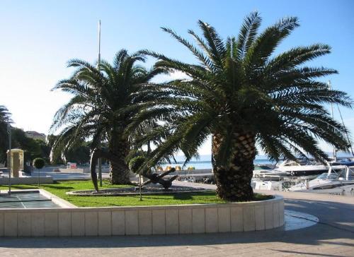 Fotografie z fotogalerie ubytování Apartmani Zuzana v destinaci Baška Voda