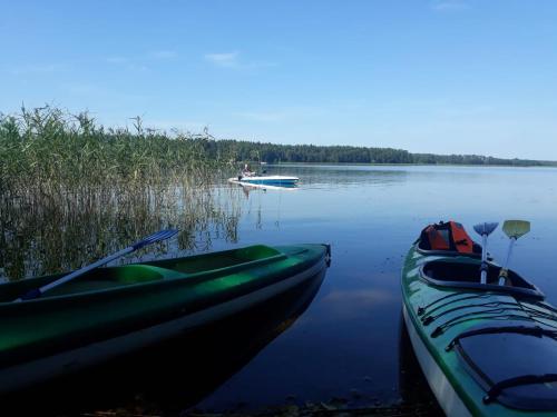 three boats are sitting on a lake with grass at Ostoja Stacze in Stacze