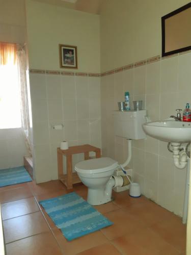 a bathroom with a toilet and a sink at Sutherland Guest House in Sutherland