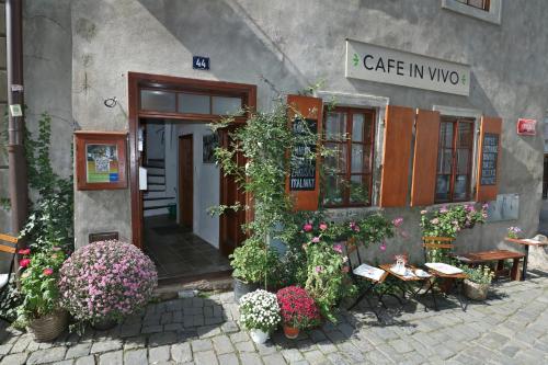 a cafe entrance with plants and tables and flowers at Apartment Soukenicka 44 in Český Krumlov