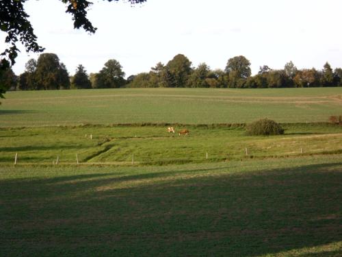 Taman di luar Alte Försterei