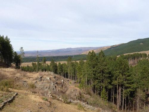 a group of trees on a hill with mountains in the background at Los Abedules Cabañas in Villa Alpina