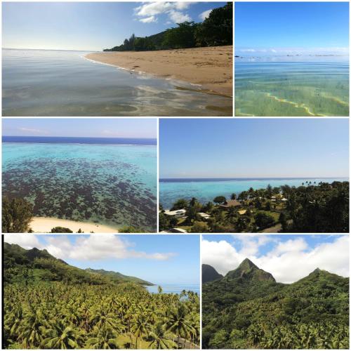 a collage of photos of the beach and the ocean at Residence Vainau Moorea in Haapiti