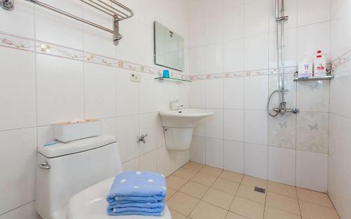 a white bathroom with a toilet and a sink at 童畫民宿ㄧ寵物收費無電梯 in Taitung City