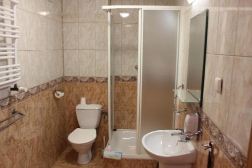 a bathroom with a shower and a toilet and a sink at Na Skarpie in Olsztyn