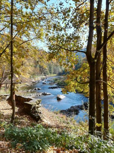a river with rocks and trees in the foreground at Pension Král in Jablonec nad Nisou