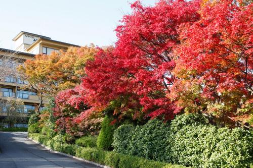 a row of trees with red leaves on a street at Biwako Hanakaido in Otsu