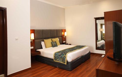 a hotel room with a bed and a television at Ahuja Residency Sunder Nagar in New Delhi