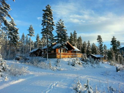 Vradal Eidstod vakantiehuis om vinteren