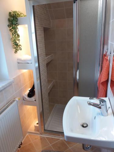 La salle de bains est pourvue d'une douche et d'un lavabo. dans l'établissement Apartmány F-M, à Frýdek-Místek