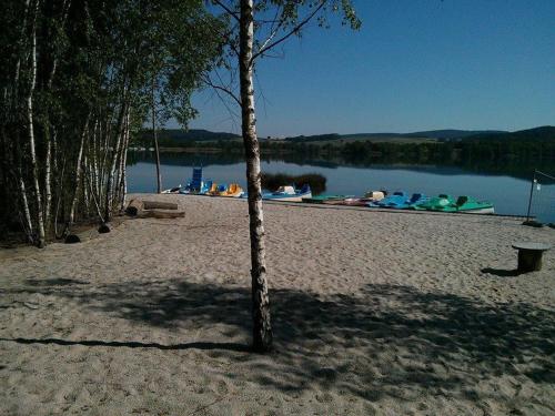 a tree in the sand next to a body of water at Haus Brückelsee in Wackersdorf