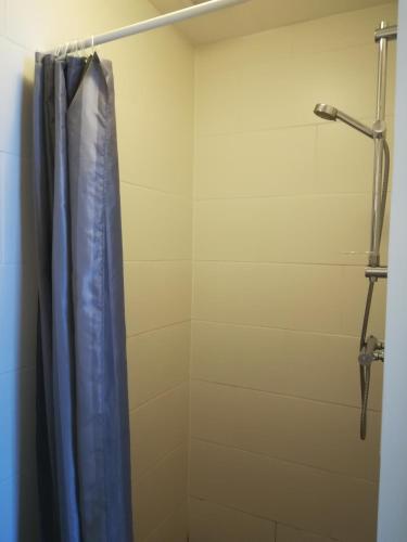 a shower with a blue shower curtain in a bathroom at Luxe Studio Bovenweg in Rhenen