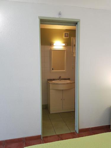 een badkamer met een wastafel en een spiegel bij studio Côté Sud vert in Sarlat-la-Canéda