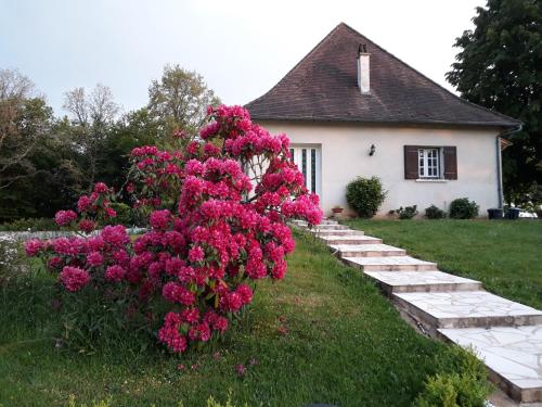 a bush of pink flowers in front of a house at Bienvenue en Périgord in Cendrieux