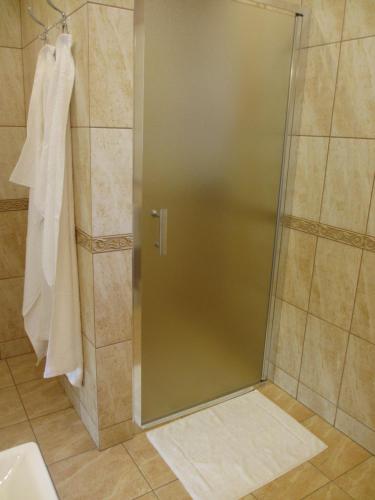 a shower with a glass door in a bathroom at Apartmány U Procházků in Český Krumlov