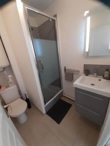 a bathroom with a shower and a toilet and a sink at Appart. sur Caen avec Garage et Wifi. in Caen