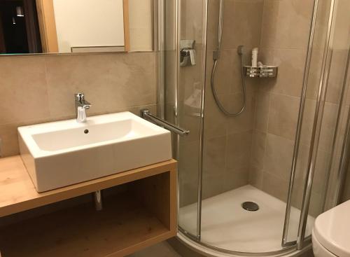 a bathroom with a sink and a shower at Platzerhof in Monguelfo