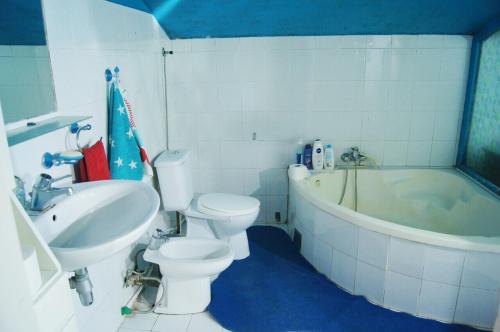 uma casa de banho com um WC, um lavatório e uma banheira em Chardak Neither in the Sky nor on the Ground em Jagodina