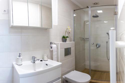 a bathroom with a toilet and a sink and a shower at Casa Schubert3 in Oradea