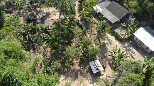 an overhead view of a house with trees at Tereng Wilis Jungle Inn in Tetebatu