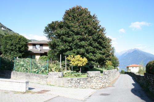 a stone wall with a tree next to a house at Agriturismo Badalone in Domaso