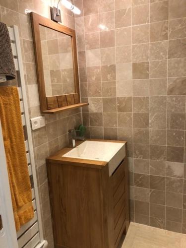 a bathroom with a sink and a mirror at APPARTEMENT T2 RER CACHAN in Cachan