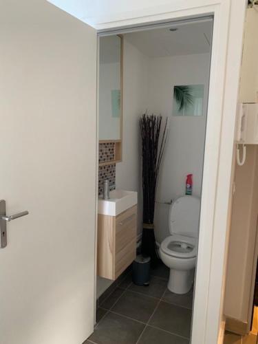 a bathroom with a white toilet and a sink at APPARTEMENT T2 RER CACHAN in Cachan