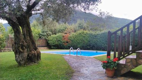 uma árvore ao lado de uma piscina com uma árvore em Casa rural Las Erillas em Lanzahita