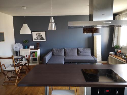 un salon avec un canapé et une table dans l'établissement Le balcon de l'Aigle, à Grenoble