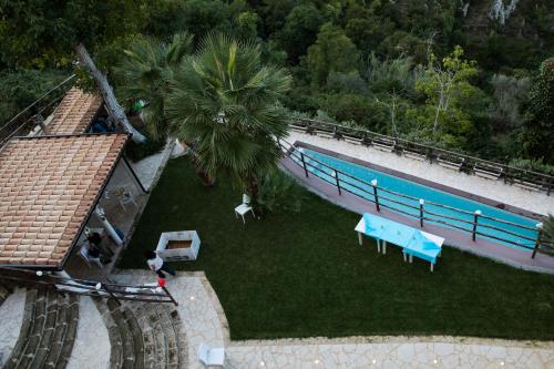 an overhead view of a swimming pool with a palm tree at Chibao in Ragusa