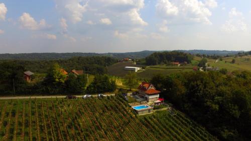an aerial view of a vineyard and a house in a field at Elizabeta Holiday Home in Štrigova
