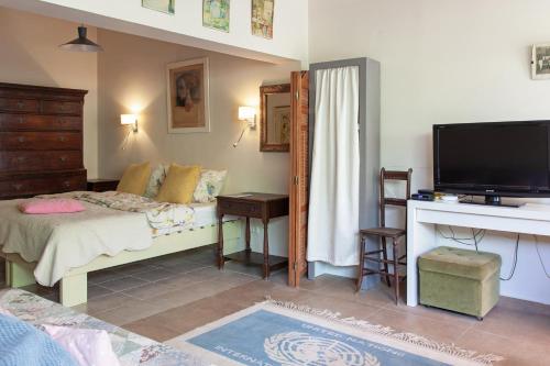 a living room with a bed and a television at Krivine B&B in Midreshet Ben Gurion