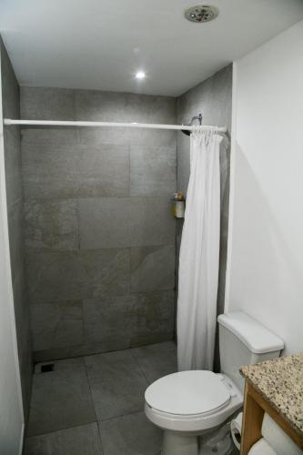 a bathroom with a toilet and a shower at Booking 500 in Monterrey