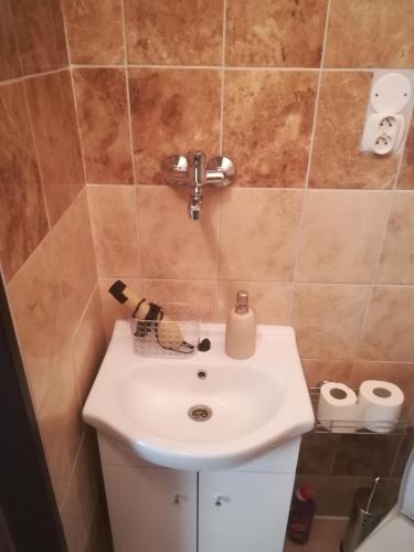 Koupelna v ubytování Apartmán Pod věží I