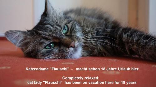 a cat laying on top of a red floor at Haus am Trielberg in Meersburg